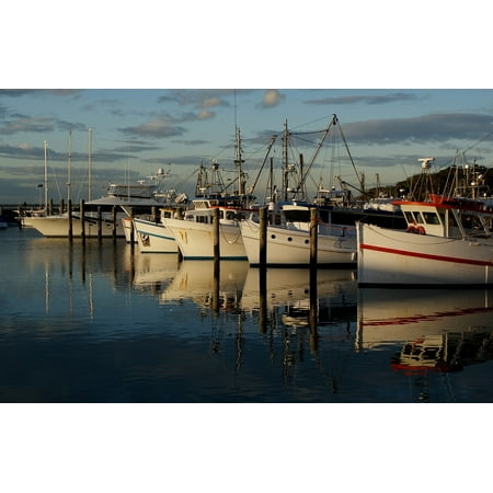 stik boats australia peel n stick poster of port stephens ships ocean australia stik boats australia peel n stick poster of port stephens ships ocean australia