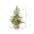 thumbnail image 2 of Vickerman 24" Cedar Pine Artificial Christmas Tree, Unlit, 2 of 3