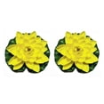 thumbnail image 2 of Flor falsa Inteprter EVA artificial loto Amarillo 2Conjunto, 2 of 6