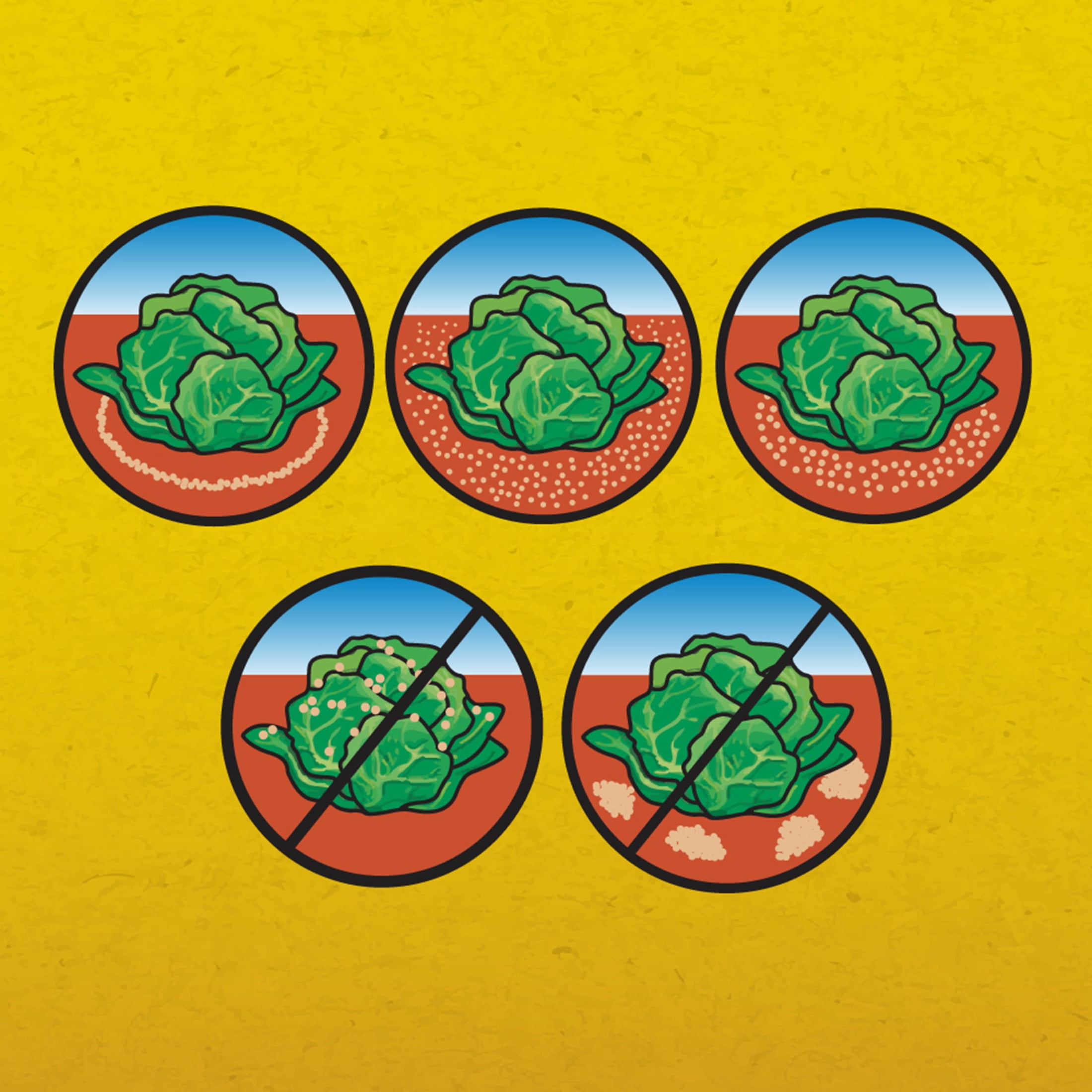 Corry's Ready-to-Use Pellets Slug and Snail Killer, 1.75 lbs.