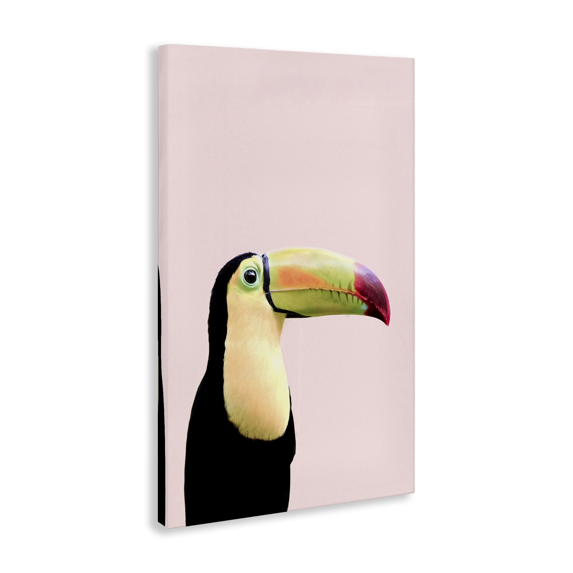 Stupell Industries Pastel Toucan on Pink Animals Painting Wrapped Canvas Art Print Wall Art, 16 x 24
