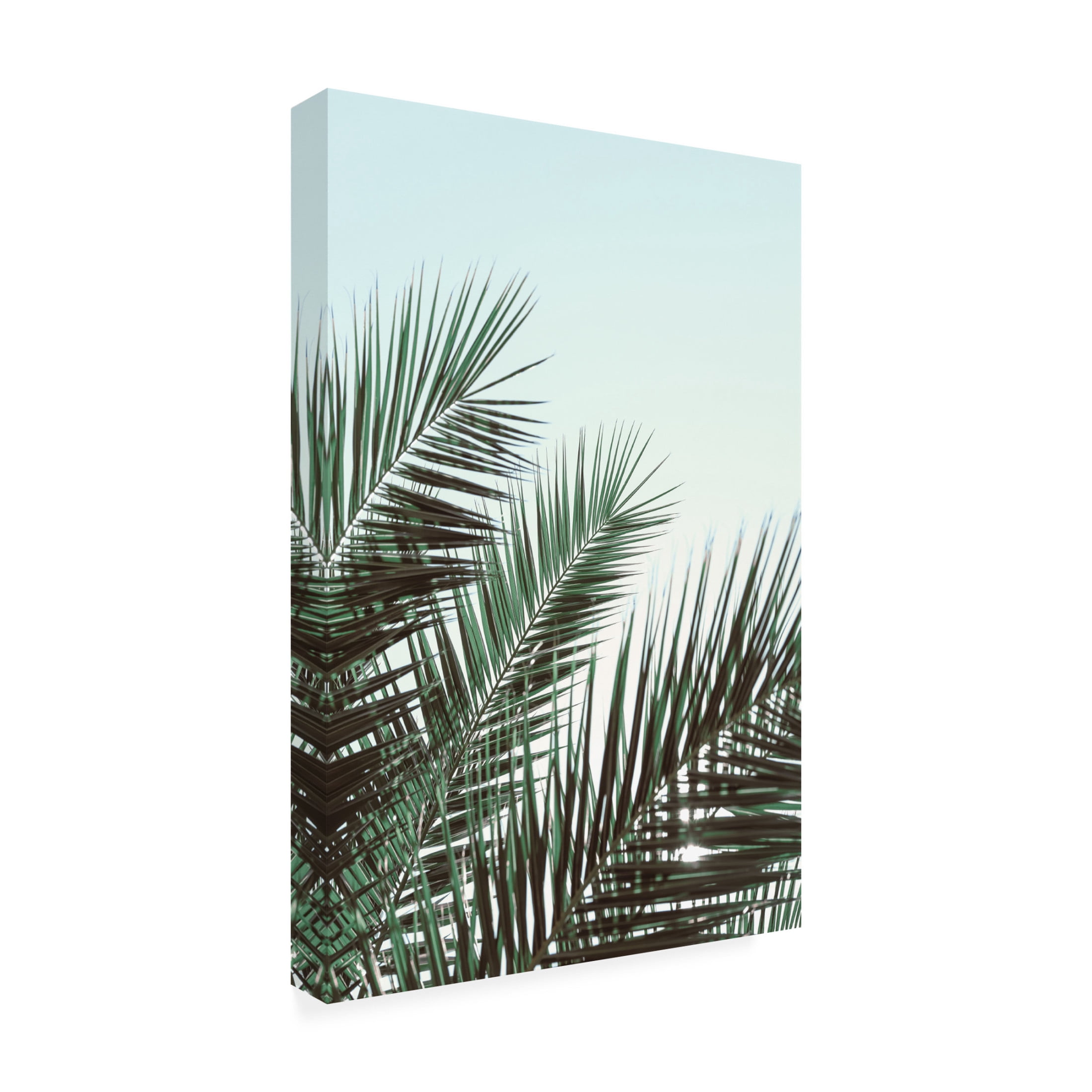 Trademark Fine Art Pictufy Studio Palm Leaves, Sky 1 Canvas Wall Art