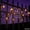 A, variant on Halloween Spider String Lights, Plug-in LED Waterproof Lights with Spider Decorations