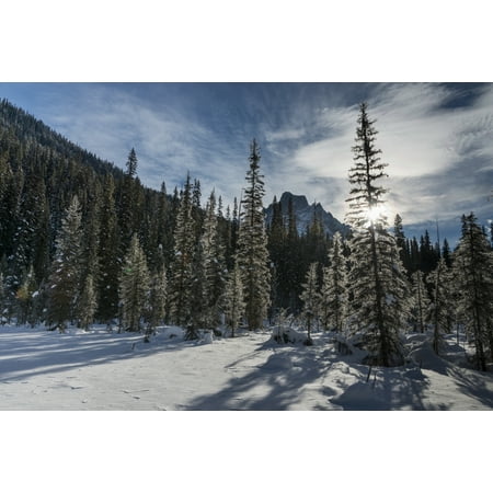 - Snow on the rugged Canadian Rocky Mountains and trees Yoho National Park Field British Columbia Canada Stretched Canvas - Keith Levit Design Pics (38 x 24)