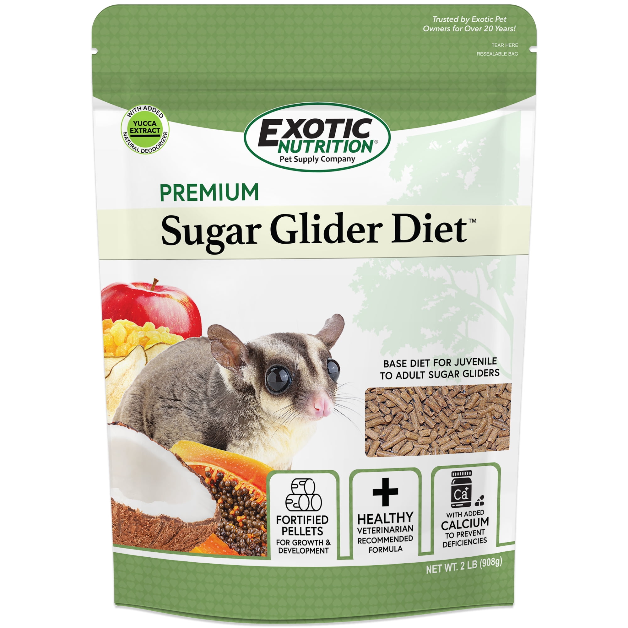 Sugar Gliders Food