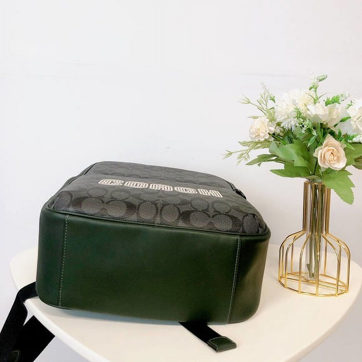 Coach CE489 Westway Backpack In Colorblock Signature Canvas With Coach  Patch IN AMAZON GREEN - Walmart.com