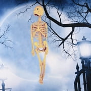 Mfigree Human Body Skeleton Model Kits, Bones Interactive Science Kit, Educational Toys for Boys and Girls, Halloween Physiology Gifts for Kids Ages 8-16 Years