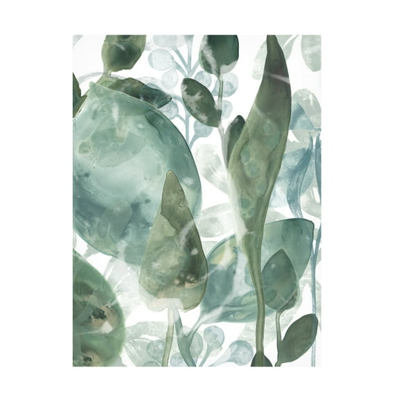June Erica Vess 'Aquatic Leaves IV' Canvas Art