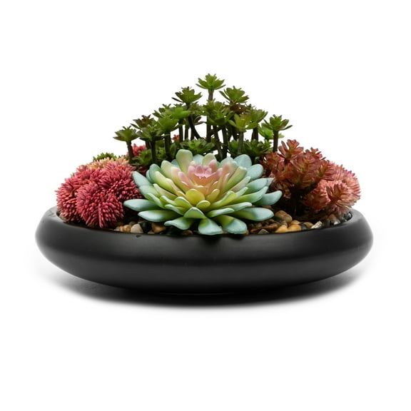 Better Homes & Gardens Artificial Mixed Succulent in Black Round Ceramic Bowl, 9"