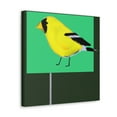 thumbnail image 5 of "American Goldfinch Minima" - Canvas, 5 of 25