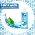 thumbnail image 3 of Dial Body Wash, Spring Water, 35 fl oz (Pack of 2), 3 of 9