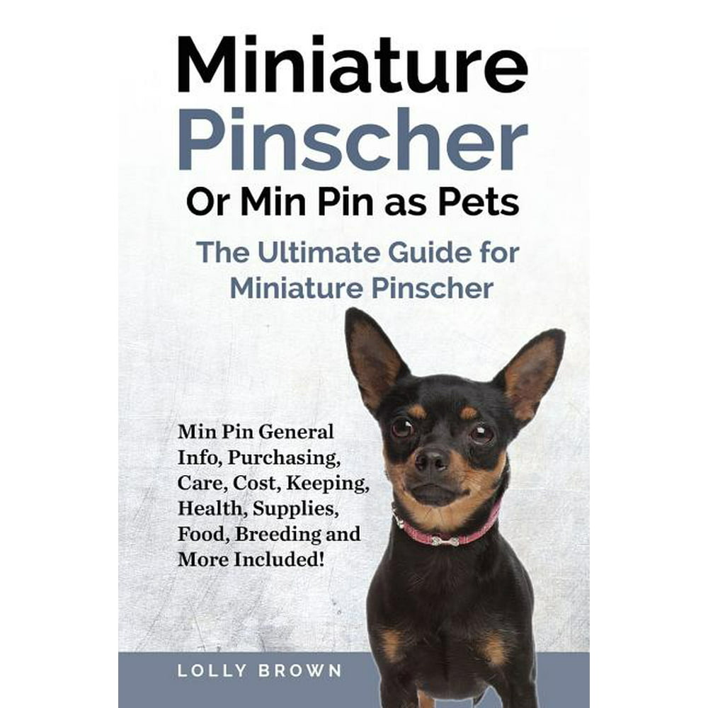 Miniature Pinscher Or Min Pin As Pets Min Pin General Info
