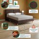 thumbnail image 2 of Cama Matrimonial Makora Mavi Chocolate Tapizada en Tela Tipo Velvet (No Incluye Colchón), 2 of 8