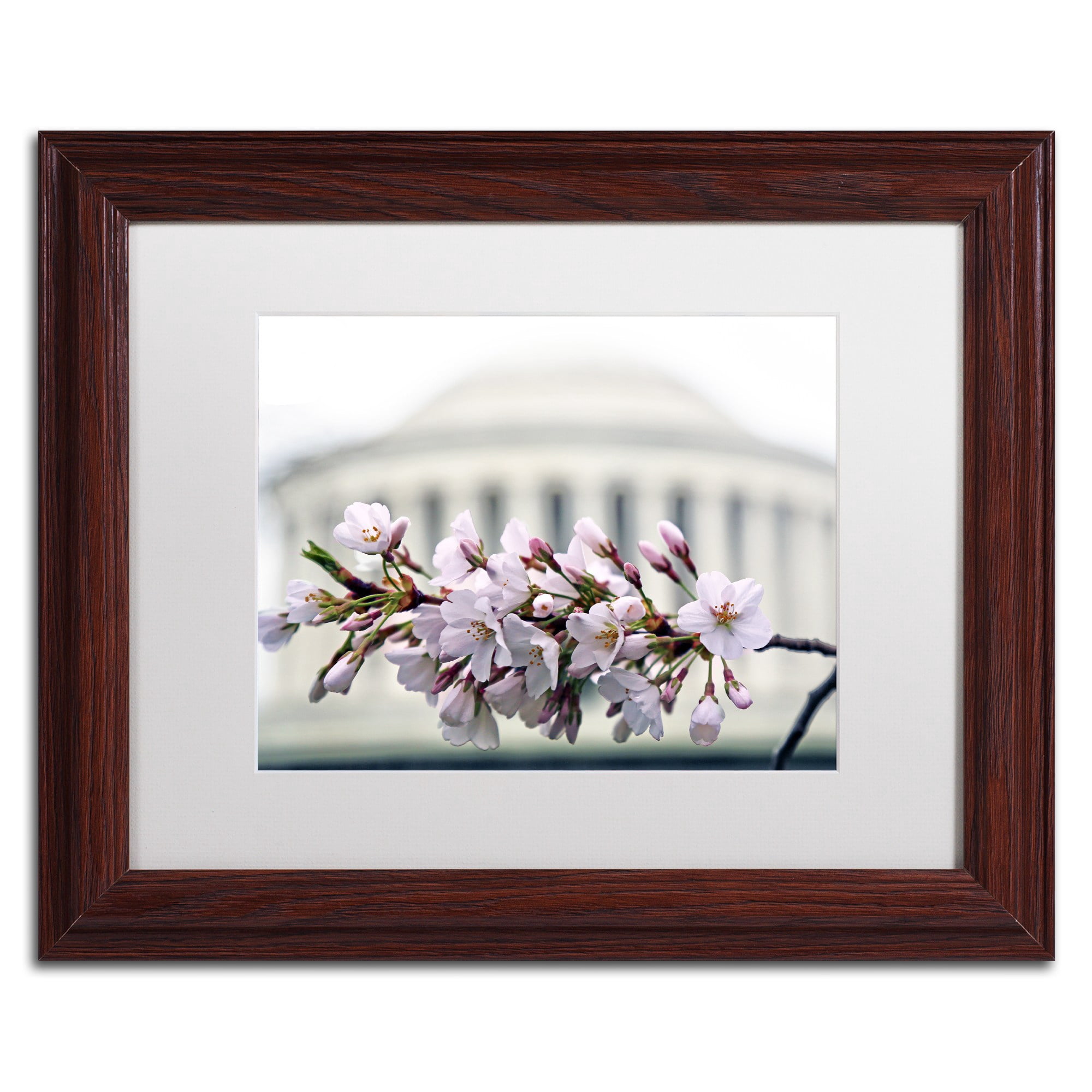 Trademark Fine Art "Jefferson Memorial Blossoms" Canvas Art by CATeyes, White Matte, Wood Frame
