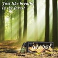 thumbnail image 4 of HIQILI Woodsy Set, 6PCS 10mL Pure Fragrance Oil Set for Massage, Skin, Beauty, DIY Perfume, Diffuser, 4 of 6
