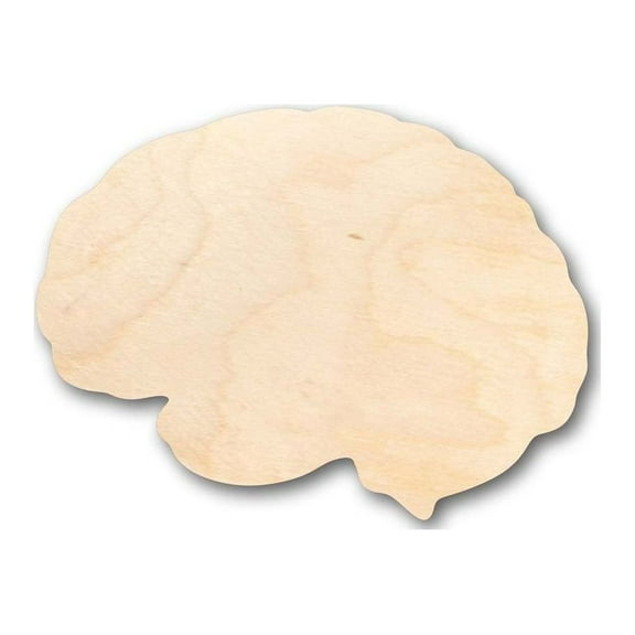 Unfinished Wood Brain Shape - Science - Craft - up to 46" DIY 12" / 1/4"