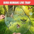 Okwish Multiple Sizes Bird Pigeon Quail Humane Live Trap Hunting Bird