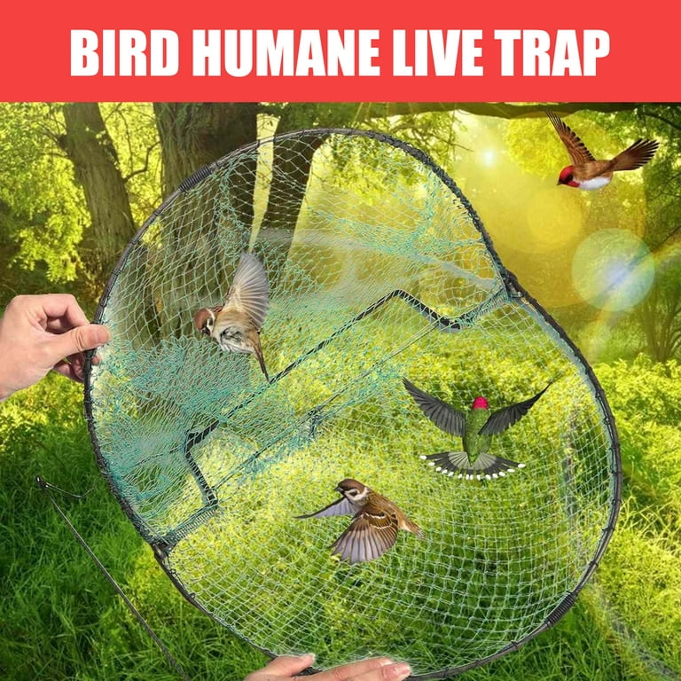 Pannow Multiple Sizes Bird Pigeon Quail Humane Live Trap Hunting Bird Trap  Easy To Use 