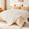 thumbnail image 5 of EMME Fluffy Soft Blanket Queen Size - 80"*90" Cream Soft Fluffy Warm Bed Blankets Bed, Camping, Picnic, Travel Lightweight Blanket, 5 of 6