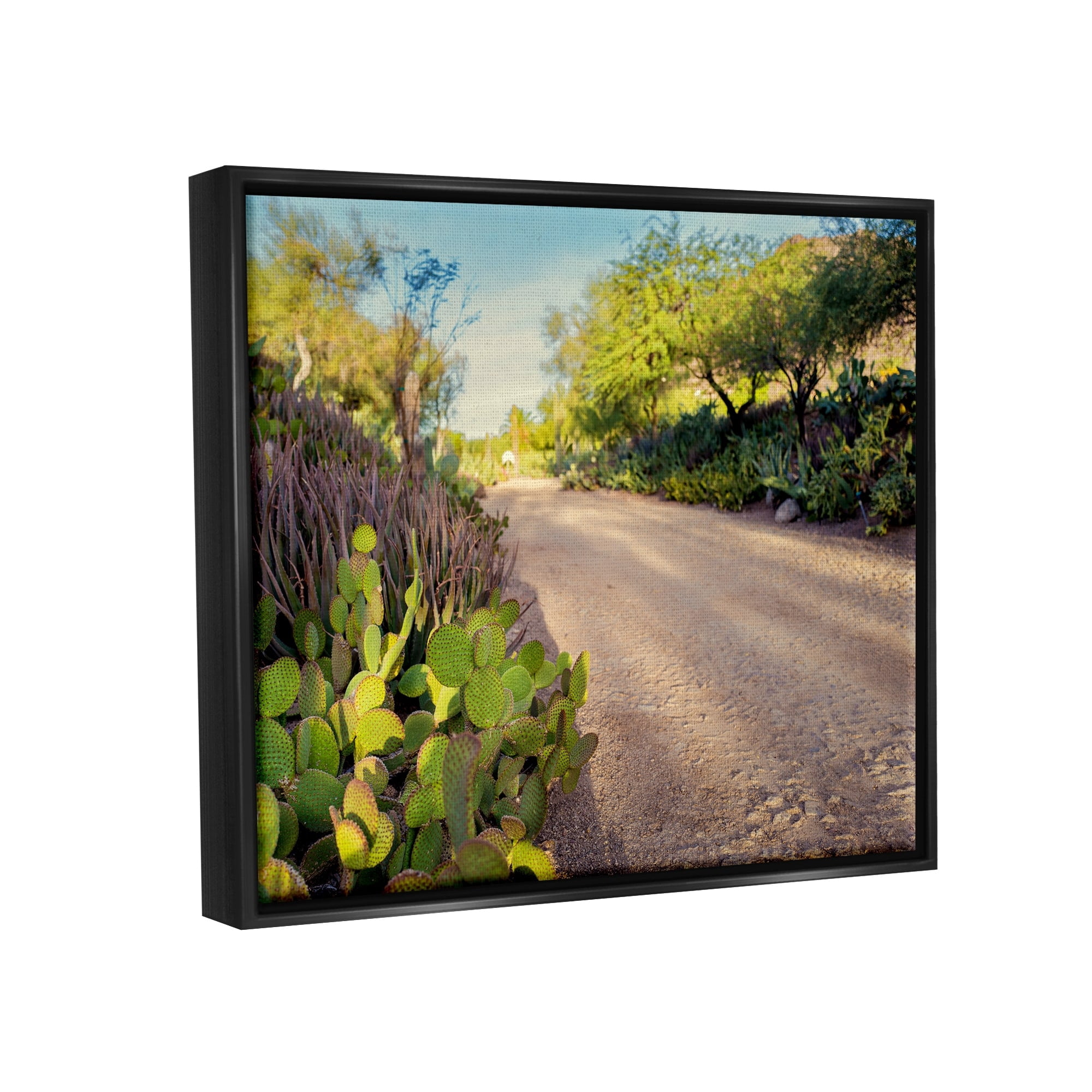 Stupell Industries Roadside Greenery Botanicals Arid Desert Cactus Plants Photograph Luster Gray Floating Framed Canvas Print Wall Art, Design by Bill Carson Photography