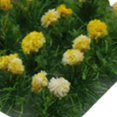 thumbnail image 7 of Micro Landscape Colorful Scenic Bushy Violet Bushes Building Model Kits Tuft Miniature Vegetation Shrub Handmade Grass :35 Model Railway Layout Moonflower, 7 of 7