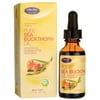 Life-flo Pure Organic Sea Buckthorn Oil | Balancing and Nourishing | Calms and Hydrates Dry, Mature or Problem Skin, 1oz