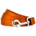 thumbnail image 3 of Country Brook Petz - Vibrant 17 Color Selection - Heavyduty Doublehandle Nylon Leash (6 Foot, 3/4 Inch Wide, Orange), 3 of 6