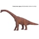 thumbnail image 1 of Animal Simulación Brachiosaurus Forma Animal Modelo Estatua Juguete Niños Regalo Educativo Decoración, 1 of 7