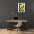 thumbnail image 3 of Jaynes Gallery 11x14 White Modern Wood Framed Museum Art Print Titled - USA-New Mexico-Alamogordo-Alameda Park Zoo Cattle egret in tree, 3 of 4