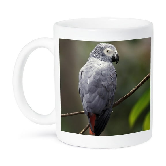 3dRose, African Gray Parrot, Tropical Bird - NA02 AJE0248 - Adam Jones, 15oz Mug