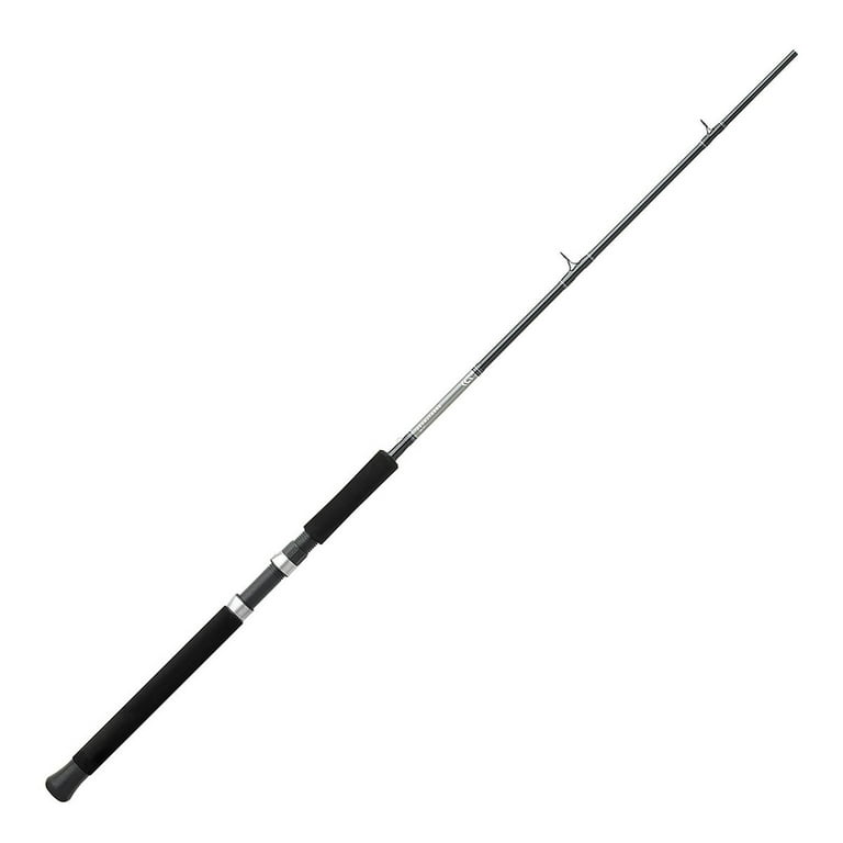 Daiwa Great Lakes GL962MHR Fishing Rod - Walmart.com
