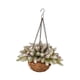 thumbnail image 5 of Cesta colgante navideña artificial, decoración navideña, regalo, delicada colgante Blanco, 5 of 9