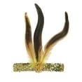 thumbnail image 3 of Unique Bargains 1 Pc Headband Feather Sequins Hairband for Women Gold Tone, 3 of 5