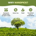 thumbnail image 3 of HANDPICK, Lemongrass Tea Bags (100 Count) Non-GMO, Caffeine Free - Quality Lemongrass Herbal Tea- Eco-conscious Round Tea Bags | Brew Hot or Iced Tea, 3 of 11