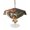 Brown, variant on Outdoor Tablecloth with Umbrella Hole for Patio/Picnic/Party/Camping, Spring Mushrooms Waterproof Table Cloth Round Cover Washable, Farmhouse Pastoral Botanical Watercolor (Dia 60")