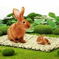 thumbnail image 4 of Straw Woven Pet Chew Mat Pad Pet House Cage Accessories For Hamster Rabbit Chinchilla Guinea Pig straw_Small 28x20, 4 of 5