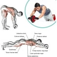 Ab Wheel Roller Home Workout, ab Roller Wheels for Abdominal & Core