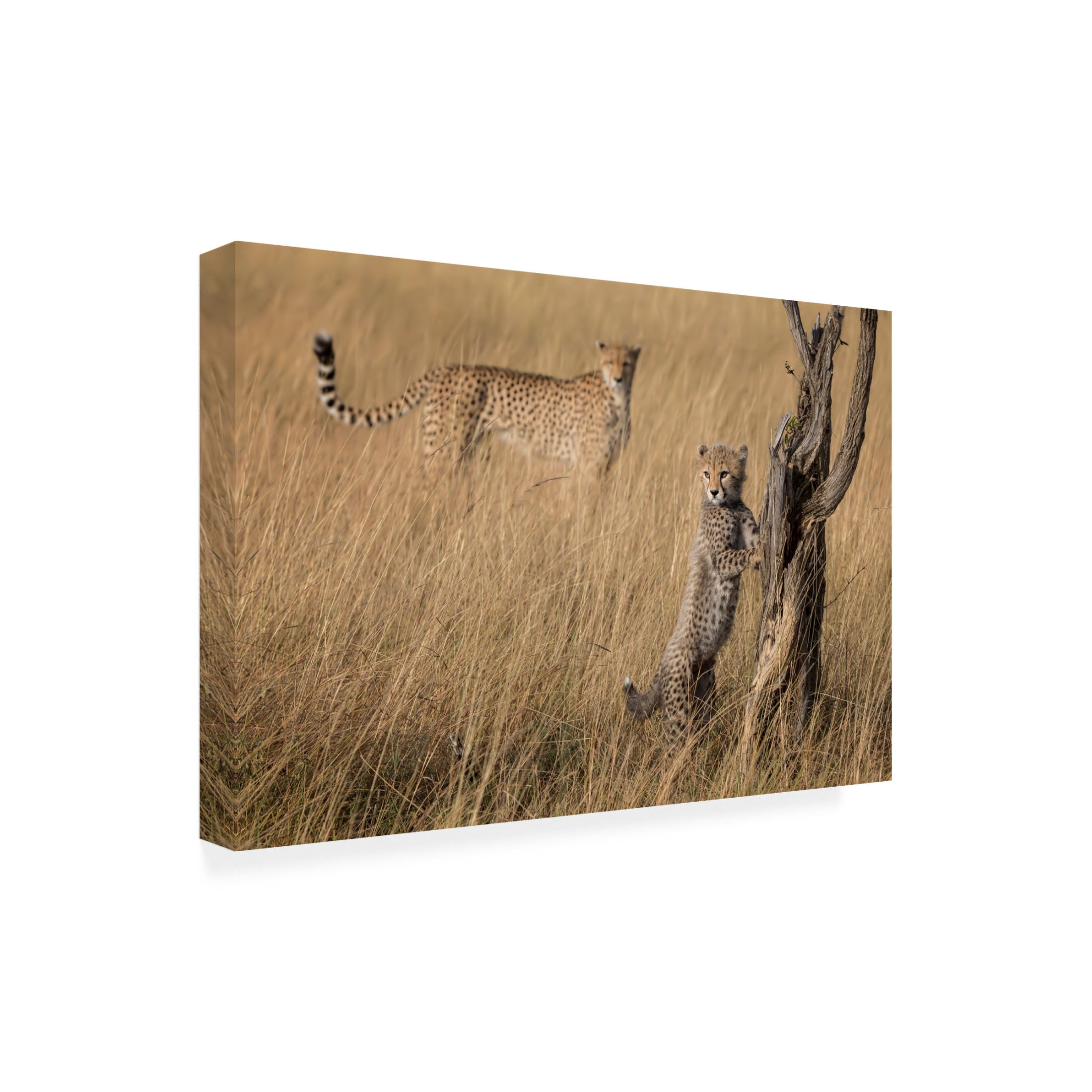 Canvas Wall Art - Renee Doyle 'Ive Got It Mum' Wall Art for Living Room, Bedroom, or Office D?cor by Trademark Fine Art - 32 x 22 Inches