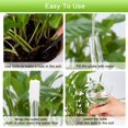 thumbnail image 5 of BEMS-Riego automático de plantas de vidrio de 3 piezas, bebedero para plantas, gato, 5 of 5