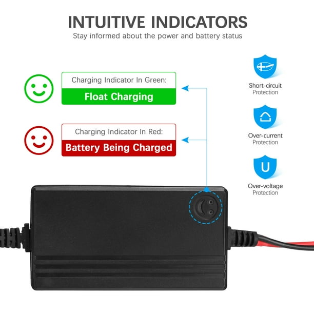 Chargeur de batterie de banc Century, K3152-1 