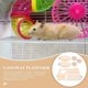 thumbnail image 2 of Plataforma de ejercicio para roedores: juguete de madera para hámsteres y chinchillas con pedal., 2 of 2