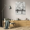 thumbnail image 3 of Vitaly Geyman 31x44 Gallery Wrapped Canvas Wall Art Titled - Splash of Color I BandW, 3 of 4