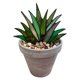 thumbnail image 2 of Plantas artificiales en maceta acrílicas decorativas de Aloe Monstrate 14x18cm Verde, 2 of 6