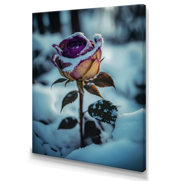 Designart A Blooming Purple Rose Flower In Winter I Canvas Wall Art