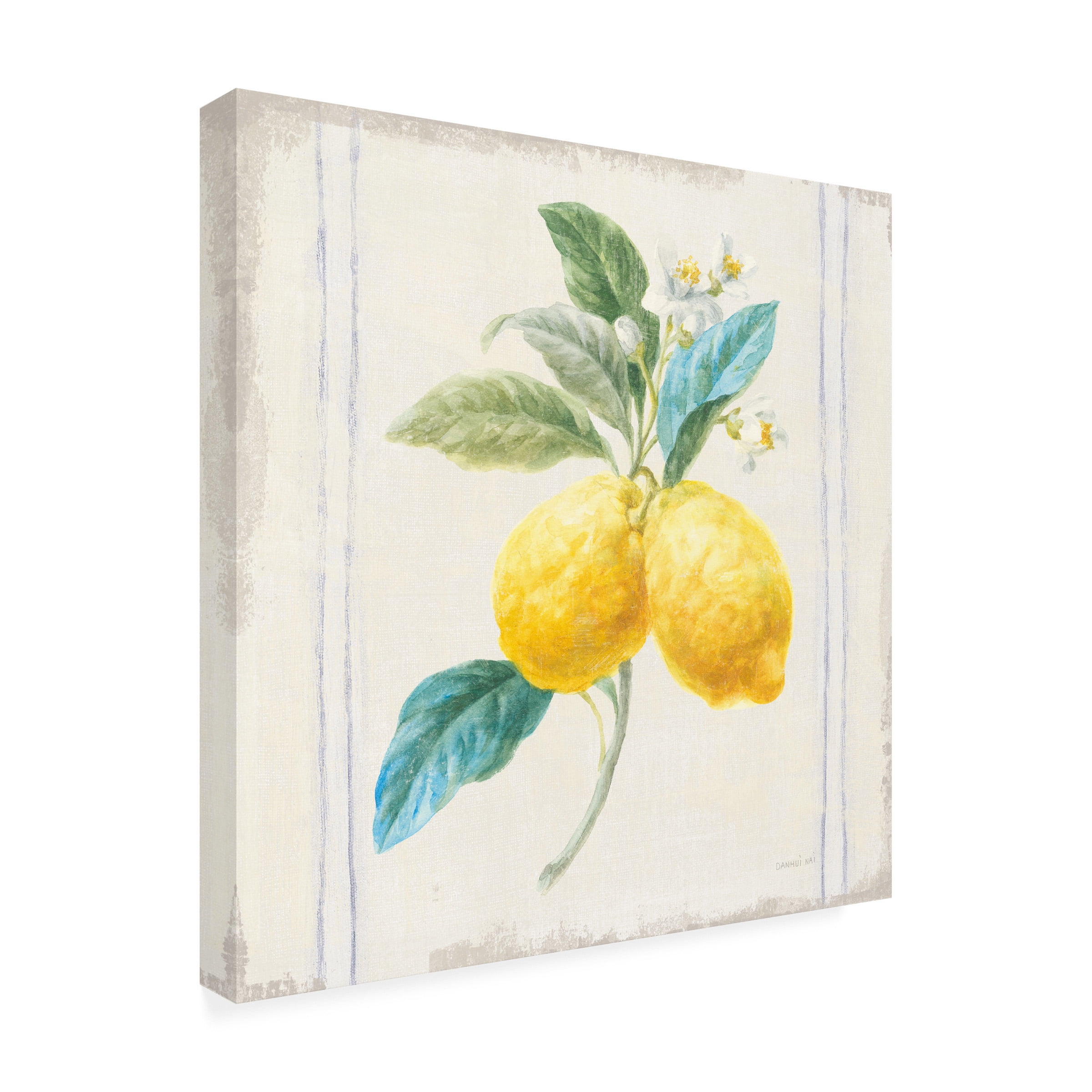 Trademark Fine Art 'Flour sack Lemons III Sq Navy' Canvas Art by Danhui Nai