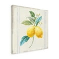 thumbnail image 4 of Trademark Fine Art 'Flour sack Lemons III Sq Navy' Canvas Art by Danhui Nai, 4 of 4