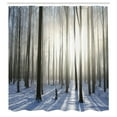 thumbnail image 3 of Ambesonne Winter Shower Curtain, Forest December Morning, 69"Wx70"L, Pale Yellow Bluegrey, 3 of 5