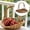 B, variant on Picnic Basket Garden Harvest Basket Garden Baskets For Gathering Vegetables Harvest Basket Basket With Handle Wicker Basket With Handle