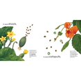 thumbnail image 3 of Seeds Move!, 3 of 7