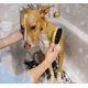 thumbnail image 2 of Cepillo de aseo para perros y gatos, cepillo de limpieza de masaje de goma de doble cara, peine para masaje para baño de mascotas, removedor de pelo para pelo largo y corto, 2 of 5